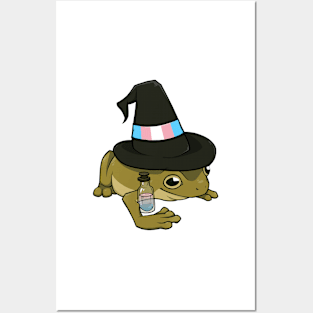 Transgender Pride Witch Frog Posters and Art